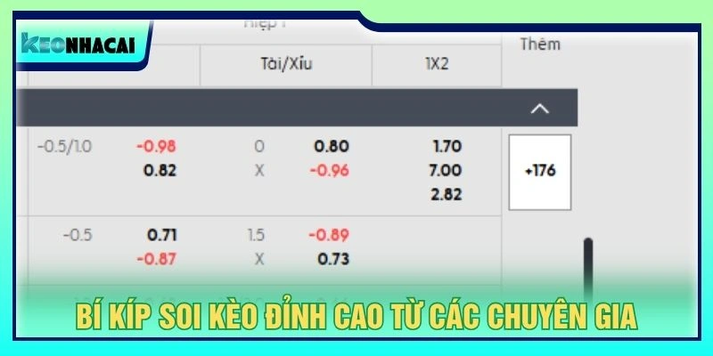 Bí kíp soi kèo đỉnh cao từ các chuyên gia
