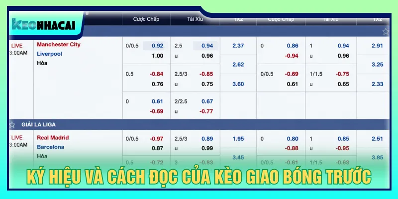 Nắm rõ cách tính tiền và đọc tỷ lệ khi chơi Kèo Nhà Cái